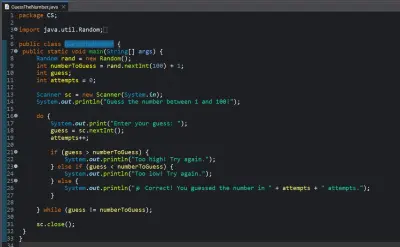 Guess the Number Game