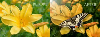 retouching