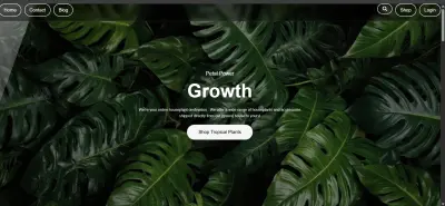 Growth Website