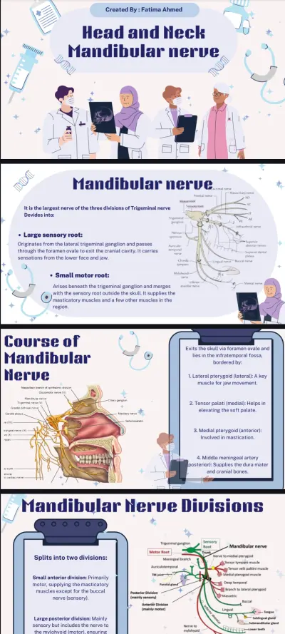Presentation عن ال mandibular nerve