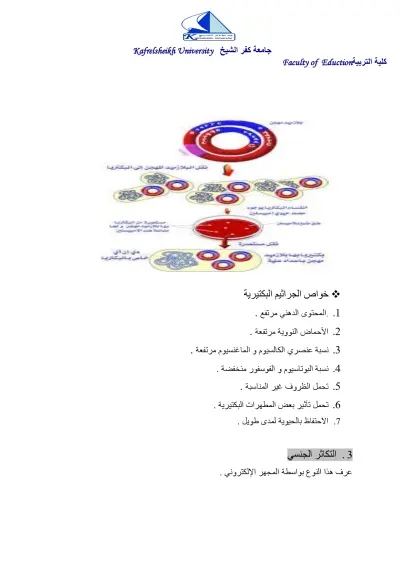 كتابة مقال