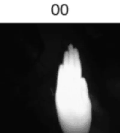 التعرف على إيماءات اليد - HAND GESTURE RECOGNITION