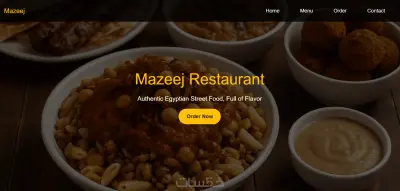 تصميم Landing Page احترافيه ومتجاوبة