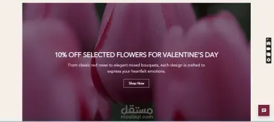 عمل portofolio