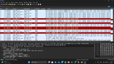 تحليل ملفات PCAP باستخدام Wireshark لاكتشاف النشاطات المشبوهة