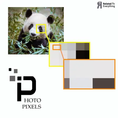 Photo Pixels - Understanding Digital Image Composition