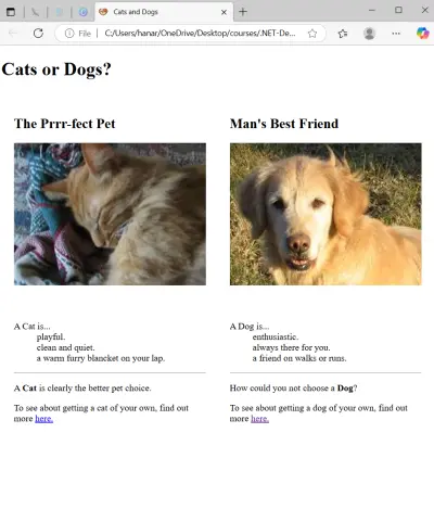 تصميم frontend لMockup static page