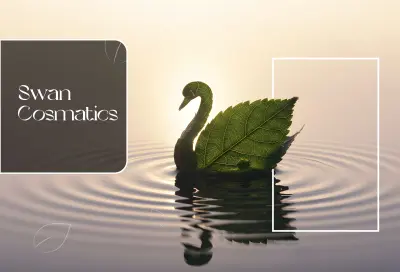 Swan Cosmetics brand identity