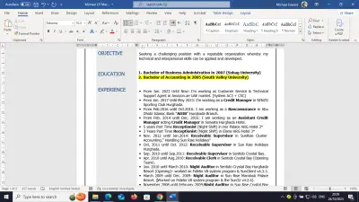 عمل سيرة ذاتية احترافية بصيغة PDF او Word او كلاهما معا