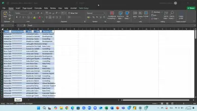 إدخال وتنظيم بيانات العملاء على Excel باحترافية عالية