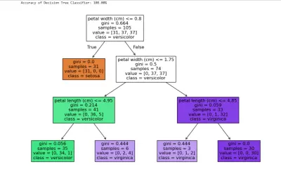 تصنيف بيانات زهرة السوسن (Iris Dataset) باستخدام خوارزميات التعلم الآلي Decision Tree وNaive Bayes