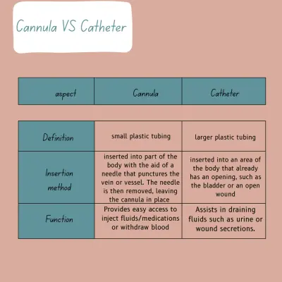 تصميم تعليمي توضيحي للمقارنة بين Cannula وCatheter