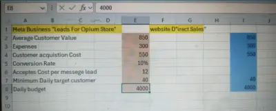 Lead ad campaign