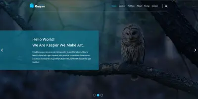 واجهة موقع Kasper