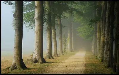 نص تأملي فلسفي.