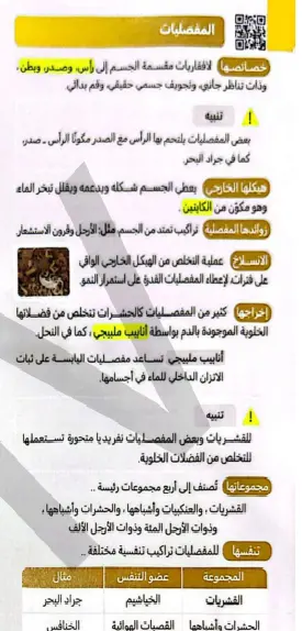 تحويل كتبك التعليمية إلى تصاميم Canva جاهزة للشرح والعرض