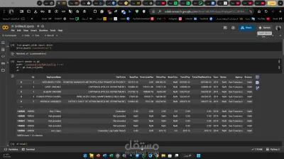 تحليل وتنظيف البيانات باستخدام لغة Python