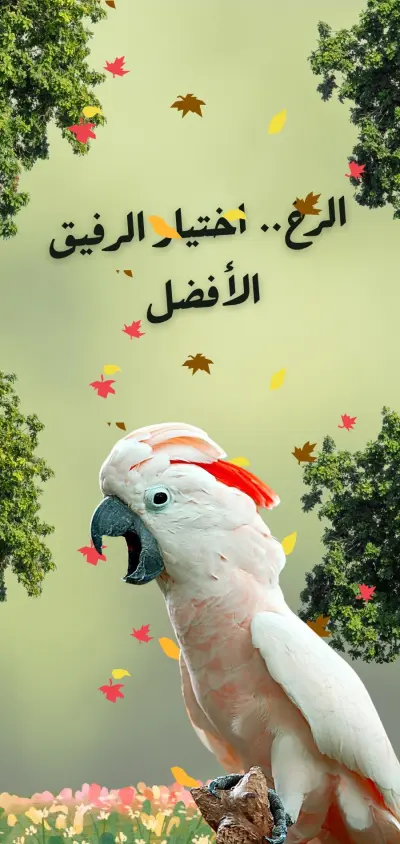 تصميم متاجر الكترونية