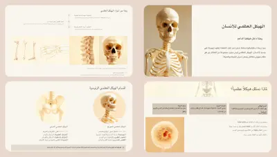 الهيكل العظمي للإنسان: رحلة في أعماق الدعامات الحيوية