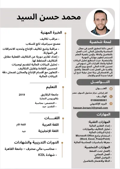 سيرة ذاتية احترافية