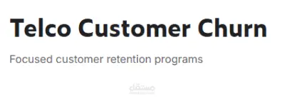 Telco Custmer Churn Dataset