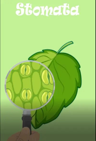 فيديو موشن بسيط لمحتوى تعليمى مدته 6 ثوانى