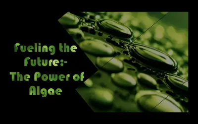 تصميم PowerPoint باستخدام انتقالات Morph وتأثيرات ثلاثية الأبعاد