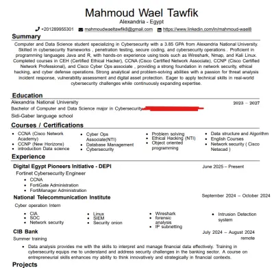 إعداد سيرة ذاتية احترافية ومنسقة بصيغة PDF
