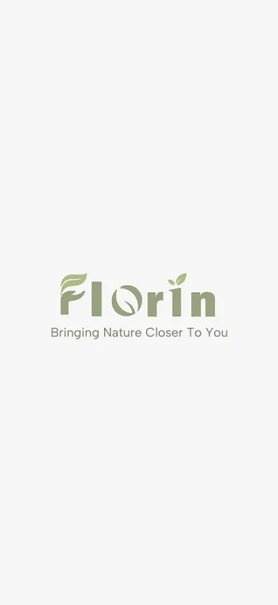 Florin UI UX Design