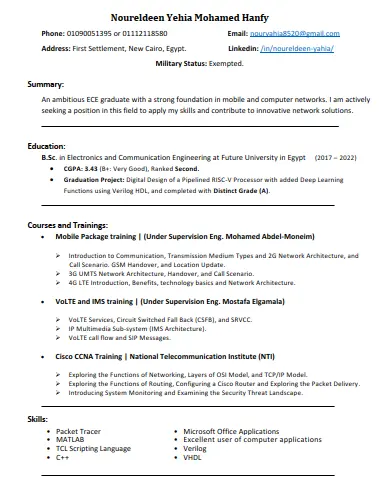 سيرة ذاتية احترافية