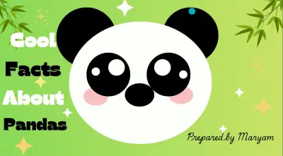 تحويل المعلومات إلى محتوى بصري: مشروع عرض تقديمي على Canva.