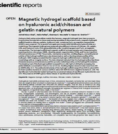 مقالة بحثية باللغة الانجليزية