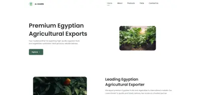 تطوير موقع شركة تصدير خضروات وفواكه