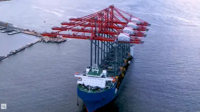 فيديو خاص لاستقبال اوناش الرصيف العملاقةا لخاصة بتشغيل محطة تحيا مصر