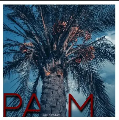 مطلوب مصمم سوشيال ميديا محترف لتعاون مستمر