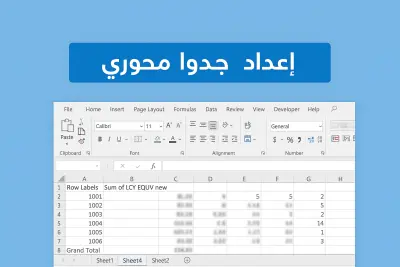 إدخال وتنظيم بيانات مالية