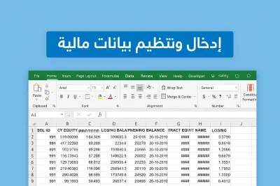إدخال وتنظيم بيانات مالية