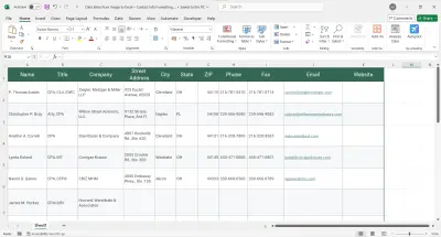 تفريغ وتنسيق بيانات دليل أعمال من صورة إلى ملف Excel احترافي