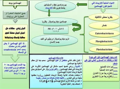 الترجمة و عمل عروض تقديمية و التلخيص الابداعي و تصميم الهوية البصرية و تصميم جرافيك و بوسترات