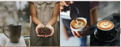 صفحة هبوط باستخدام wordpress