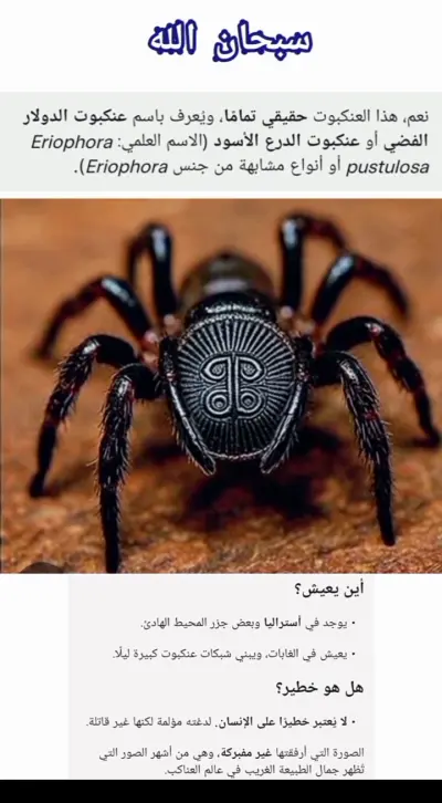 معلومات غريبه