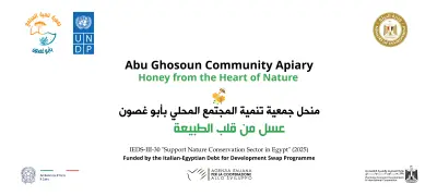 تصميم عدد اثنين BANNAR