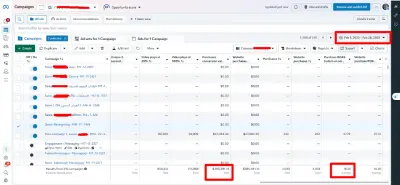 مدير حملات إعلانية