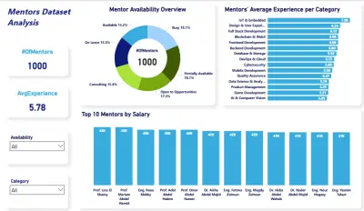 Mentors Data Analysis