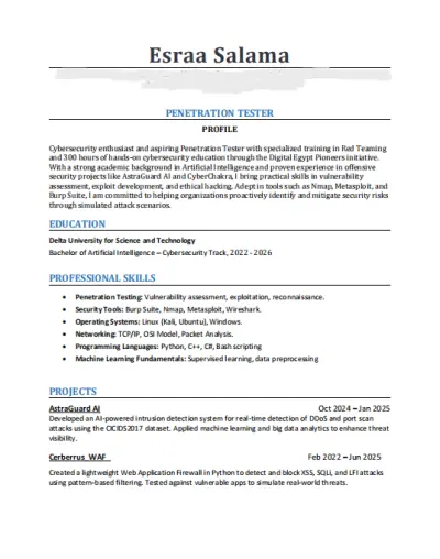 كتابة سيرة ذاتية احترافية تبرز مهاراتك وتناسب مجالك المهني
