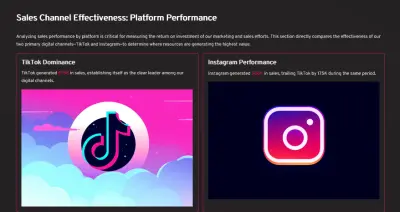 صورة العمل عمل Documentation and Presentation ل تحليل البيانات