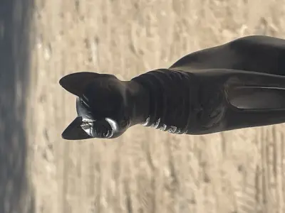 صوره لتمثال