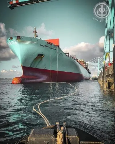 الفوتوشوب و autocad