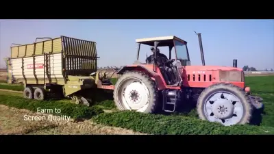 Agricultural Documentary — Dina Farms