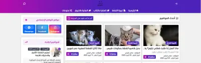 صاحبة مدونة هاي كيتي للعناية بالحيوانات الاليفة